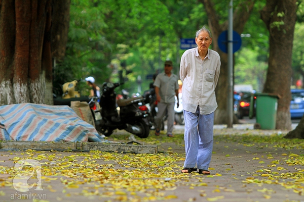 Nhung-tham-la-vang-mua-thu-ha-noi